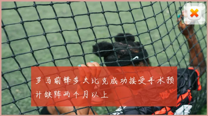 罗马前锋多夫比克成功接受手术预计缺阵两个月以上